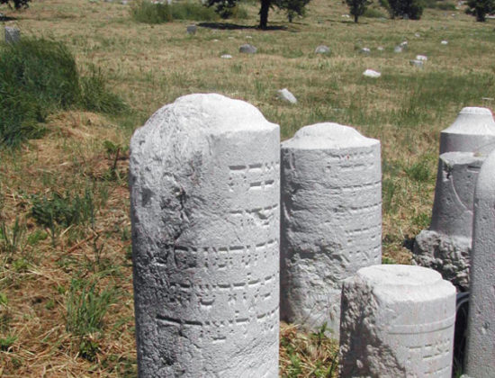 Antico cimitero di monte Cardeto